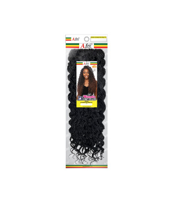 BOX204 - 2X WANDA BOX BRAID 20”