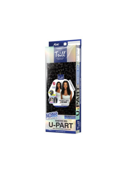 TRUP108-BURMESE CURL24"